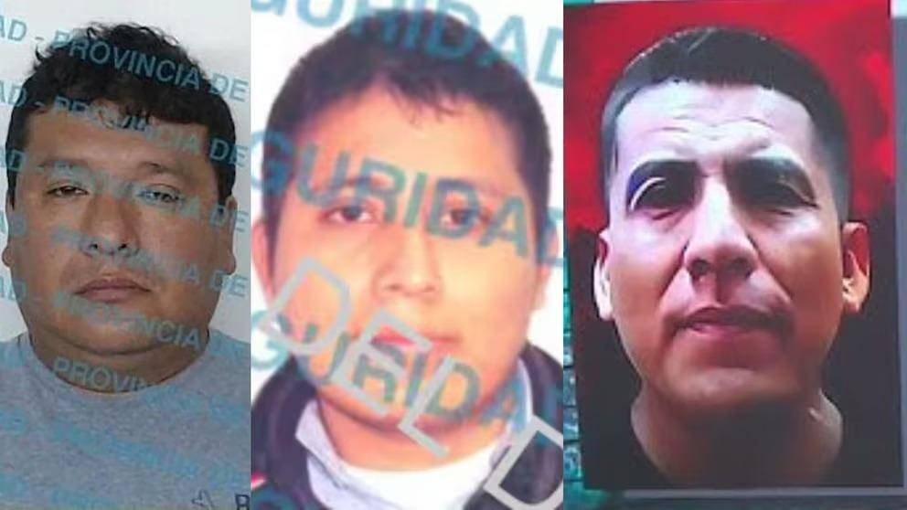 Piden prisión preventiva para los detenidos del triple crimen narco