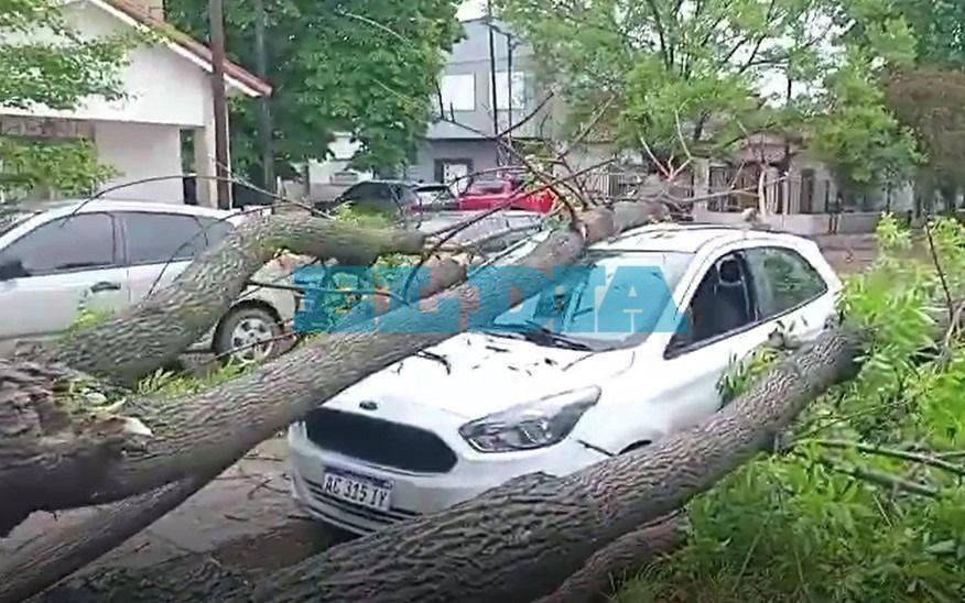 VIDEO.- Milagro en medio del temporal en La Plata: así un árbol aplastó un auto en una madrugada caótica