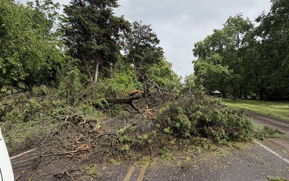 Un árbol atravesado bloqueó el tránsito a pasos del cruce de los caminos Belgrano y Centenario