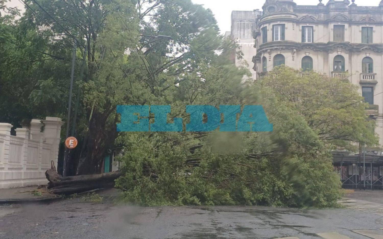 Diluvió en La Plata y ahora rige alerta por ráfagas de viento de hasta 75km/h: cuánta agua se acumuló y cómo sigue el tiempo