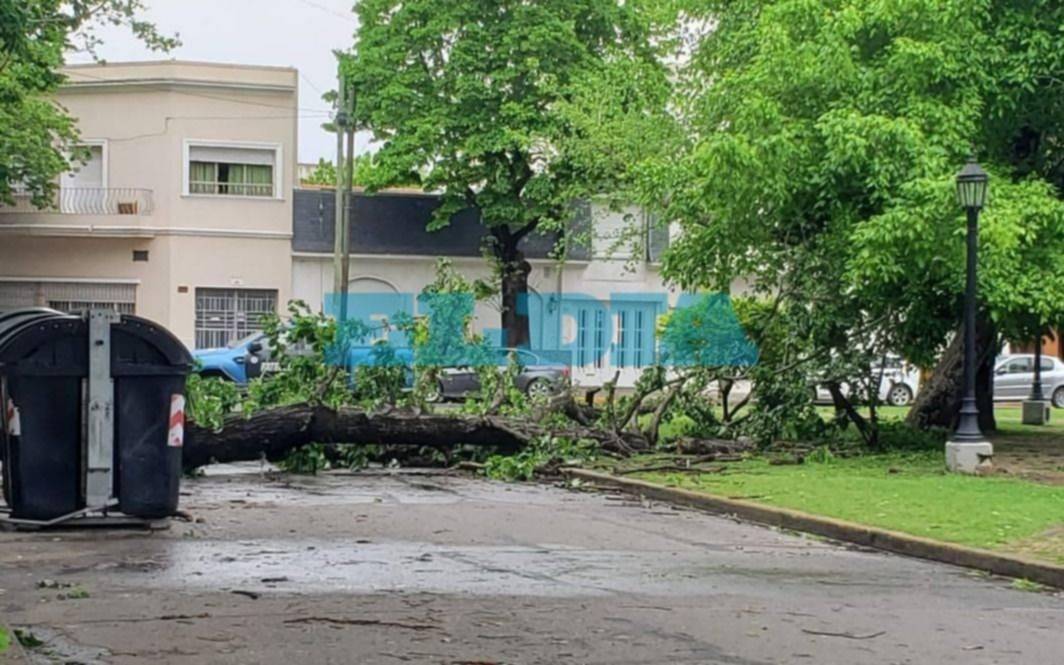 ¿Cuántos milímetros de agua cayeron en La Plata durante el temporal? El ranking barrio por barrio