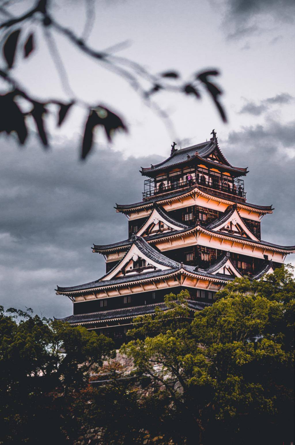 Japón y la “emergencia silenciosa”: el país donde la vejez ya no tiene quién la cuide