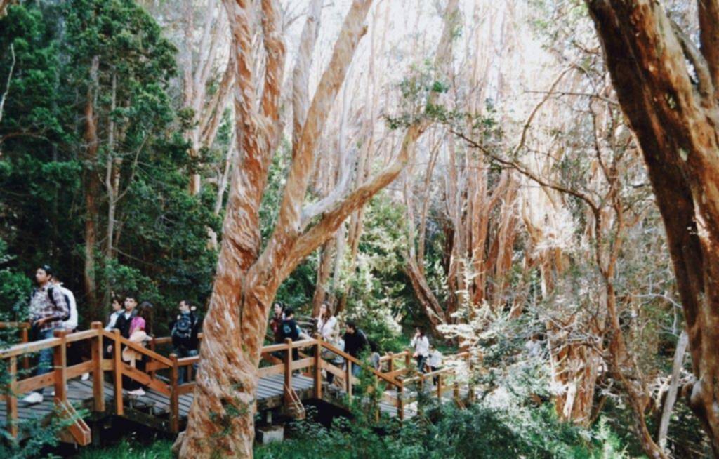 Bariloche en primavera: cuatro días para redescubrir la Patagonia