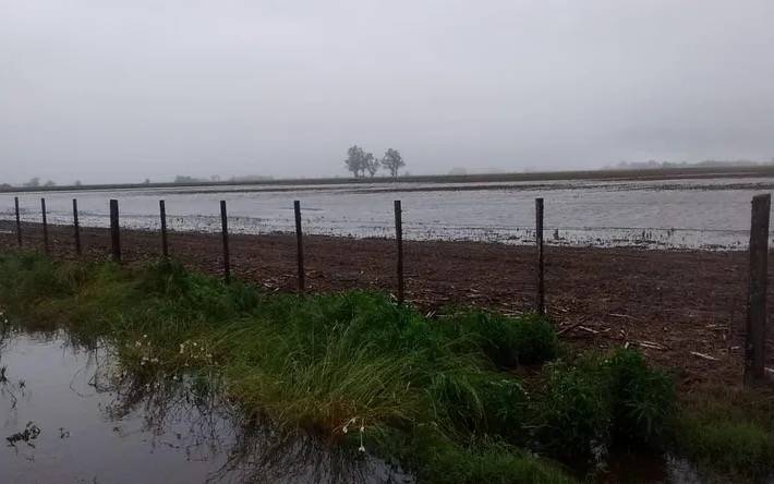 Región núcleo: lluvias intensas generan anegamientos y preocupación en el campo