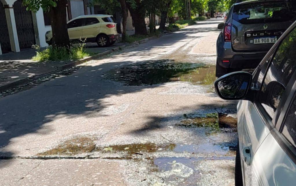 En 18 de 47 a 49, la calle está “pinchada”: múltiples pérdidas de agua