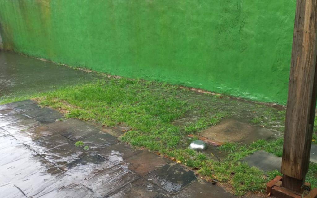 Un vecino denunció desbordes cloacales en “el fondo de casa”