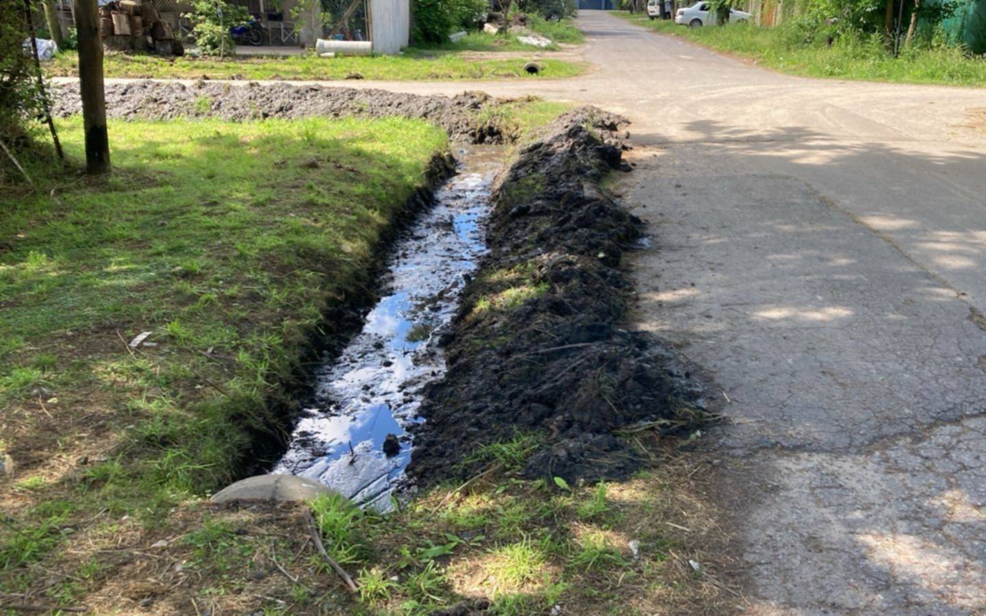 En City Bell: “Más que limpiar la zanja, dejan un chiquero”