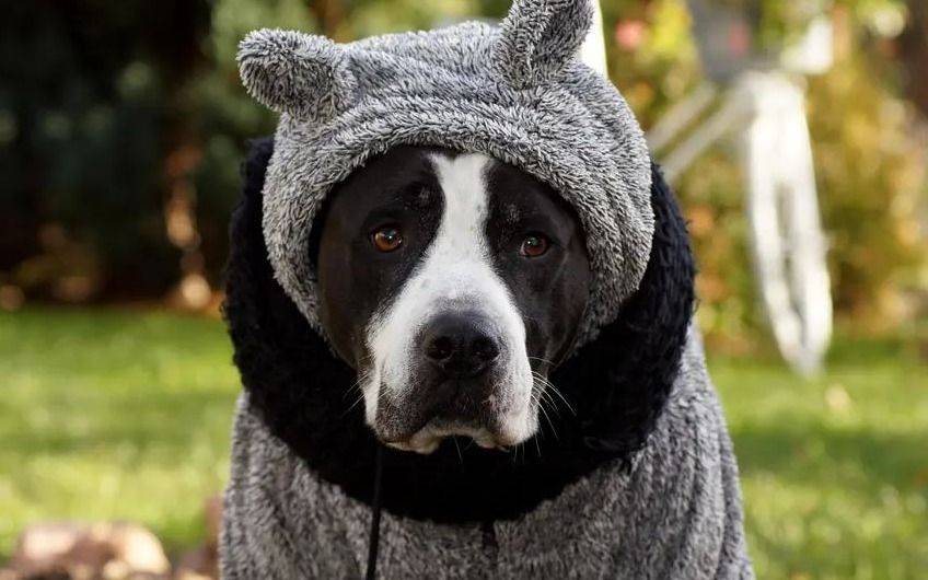 La "bomba de frío" no afloja en La Plata: la térmica por debajo de 5ºC y probables chaparrones este miércoles