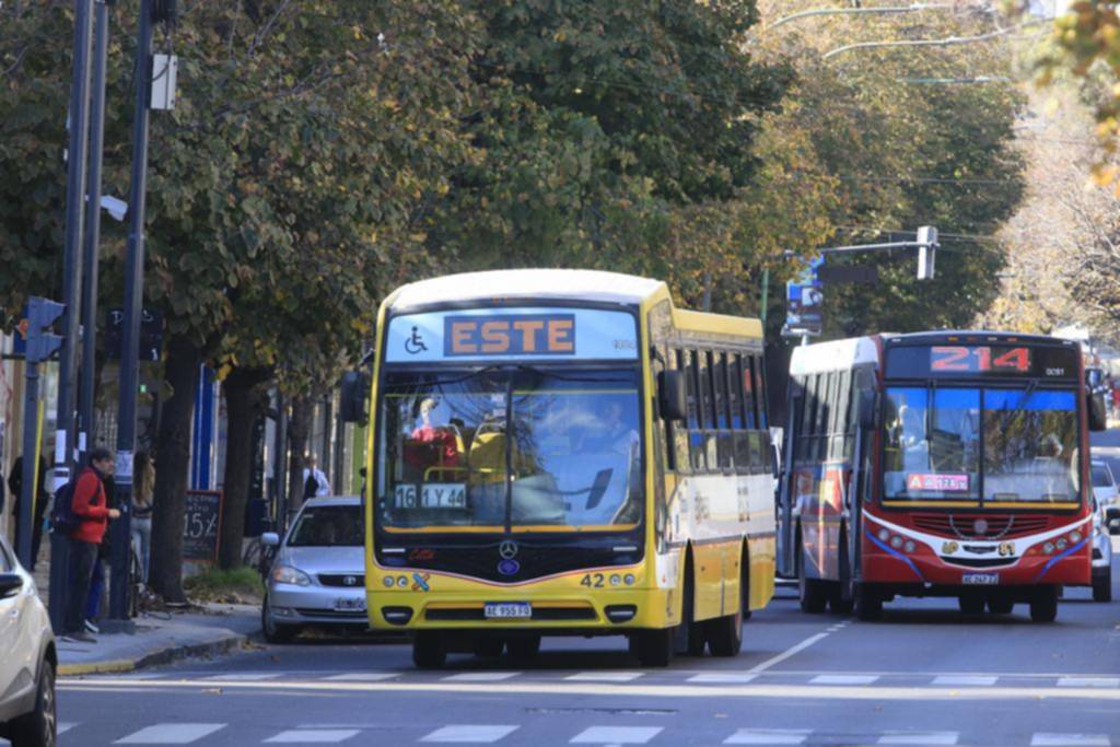 Micros: Alak envía al Concejo la ampliación de recorridos