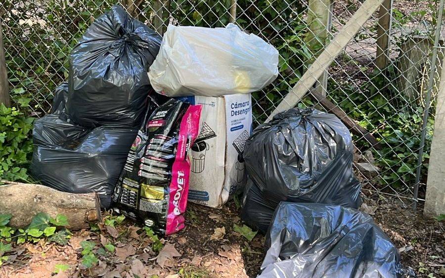 Drama en Villa Elisa: montañas de basura, roedores que se hacen "panzadas" y vecinos a la "cacería" del camión recolector