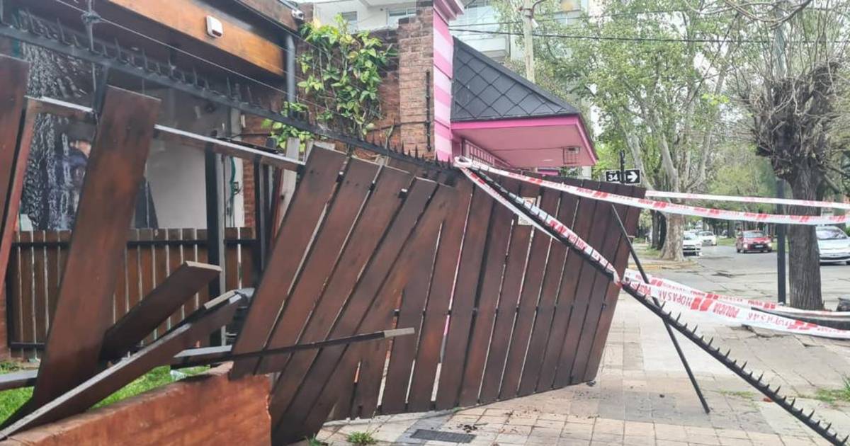 Robaron la tranquilidad": atacan dos veces en 14 días a un médico | El Dia