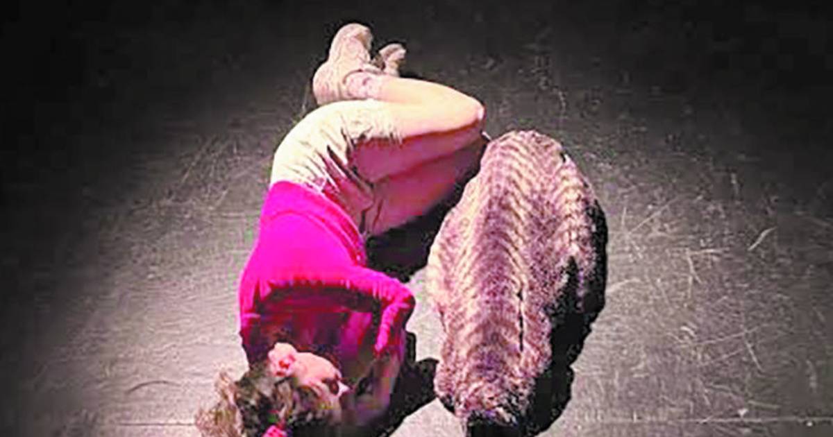 Música, teatro, literarias y más en la agenda de espectáculos para este finde en La Plata | El Dia