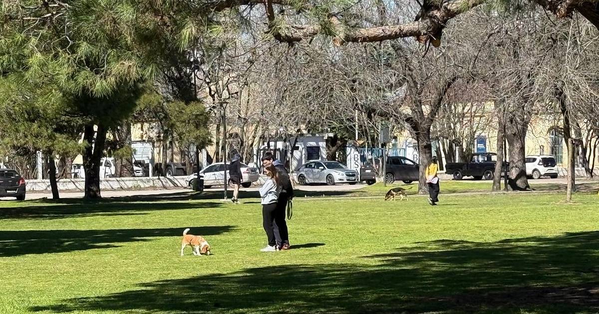 Domingo soleado y primaveral en La Plata: cómo estará el tiempo en el inicio de la semana | El Dia