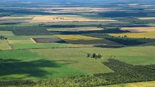 La Justicia ordenó preservar información sobre tierras rurales bonaerenses