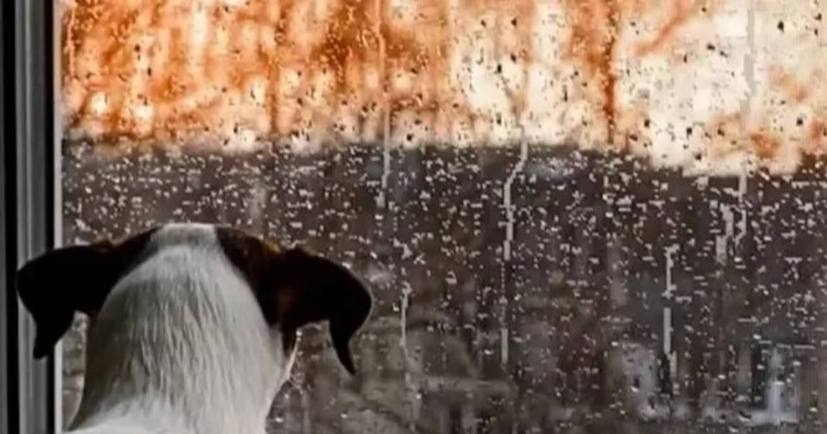No mejora el tiempo en La Plata y rige alerta por tormentas fuertes: ¿a qué hora llegan? | El Dia