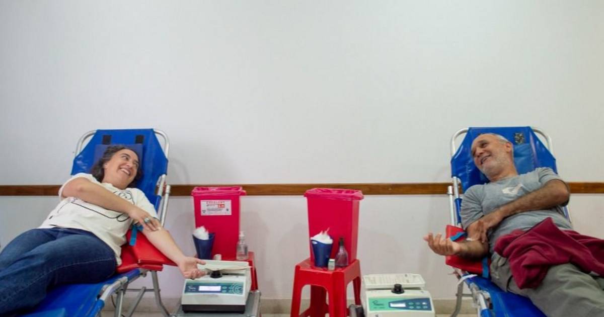 La Plata Blood Donations Drop 22% Prompting Ministry Appeal