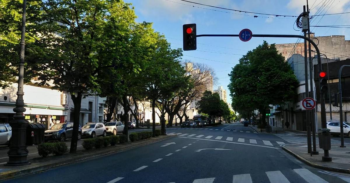 Hay primavera en La Plata: sol y temperatura agradable este martes ...