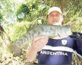 Taruchas en el Barca Grande