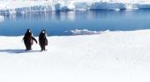 La Antártida pierde hielo