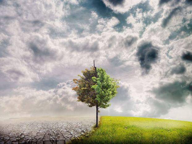 El cambio climático y la libertad de expresión