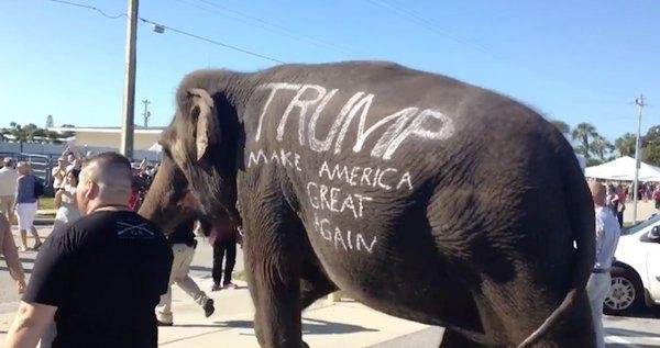 Campaña de Trump con un elefante pintado
