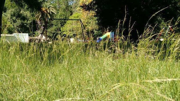 Parque Saavedra: inquietud de vecinos por "estado de abandono"