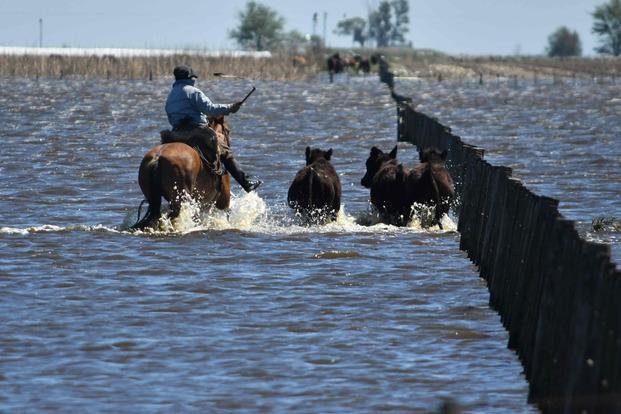 Estiman pérdidas por 5 mil millones de pesos por las inundaciones en General Villegas