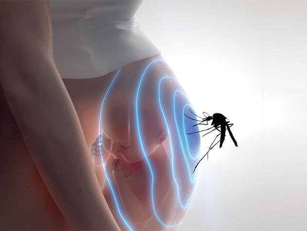 Zika: recomiendan evitar embarazos hasta 8 meses tras la infección