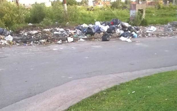 Advierten por basural y roedores en 15 y 79