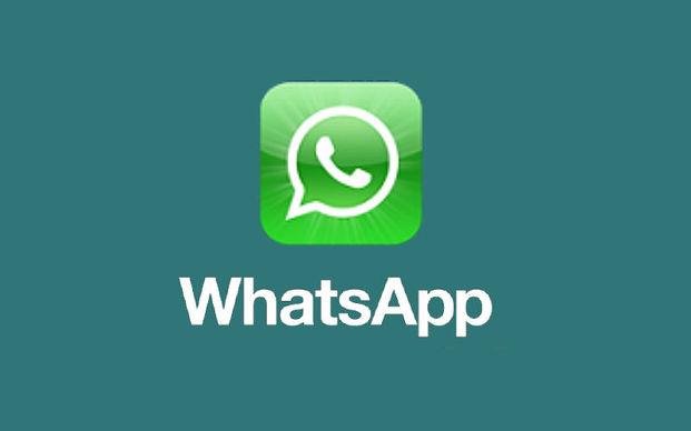 Conectate con EL DIA a través de WhatsApp