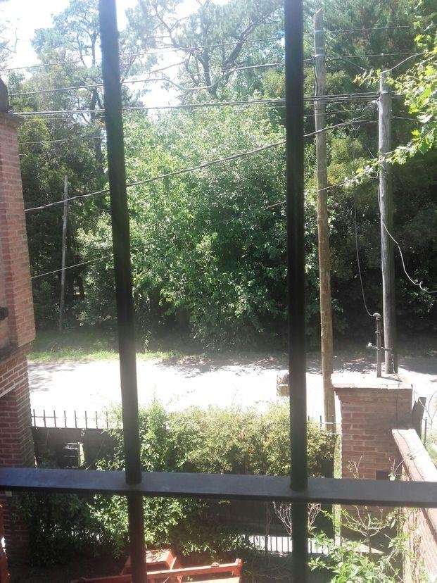 Solicitan la poda de un árbol desde hace un mes en Gonnet