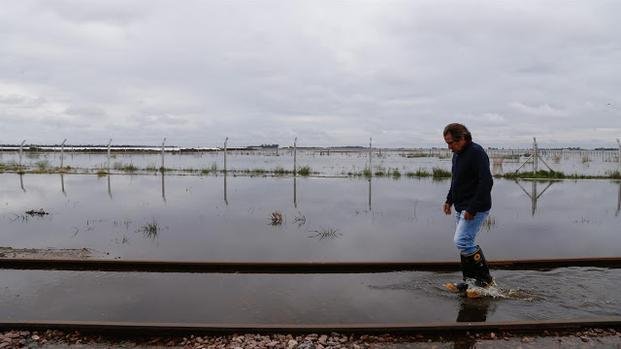 El Gobierno oficializó la emergencia agropecuaria en varios distritos bonaerenses