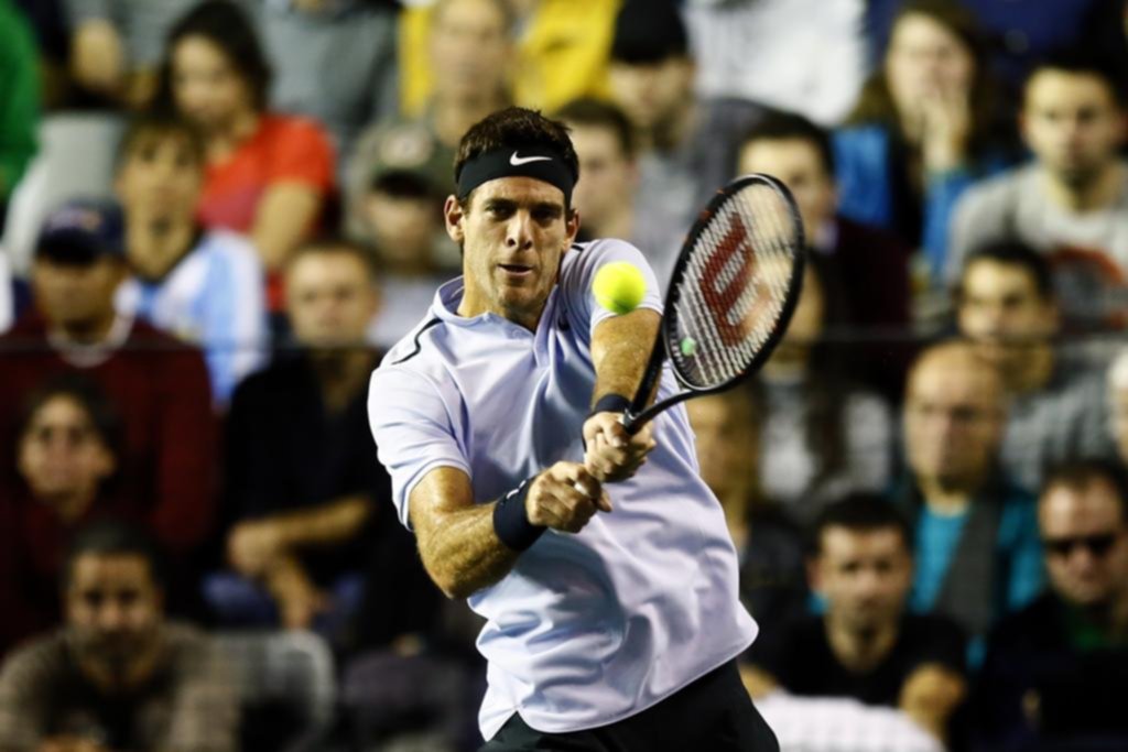 Del Potro buscará dar otro paso que lo acerque aún más al Masters de Londres