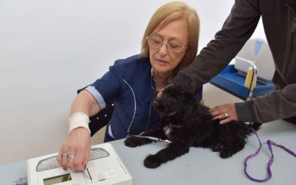 En San Martín avanzan las prestaciones de los hospitales veterinarios móviles