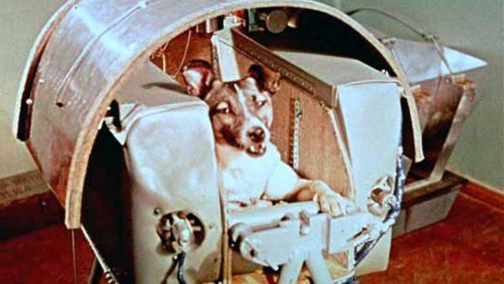 Laika, la perra que hizo historia en el espacio