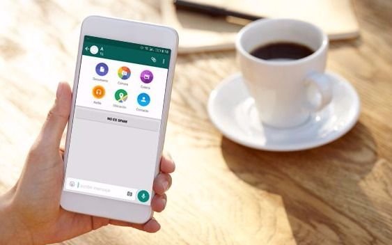 Conectate con EL DIA a través de WhatsApp