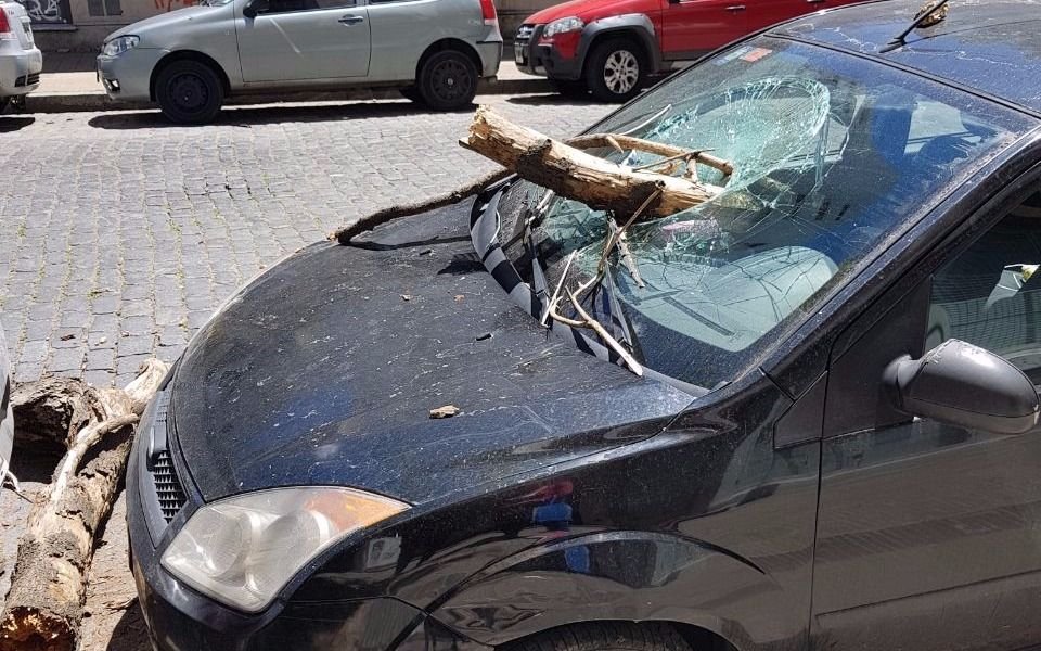 Un auto dañado por la caída de una rama en diagonal 77 entre 47 y 48