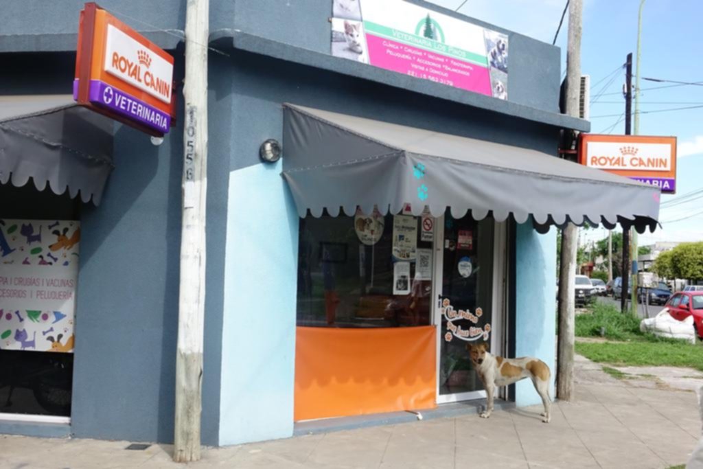 Pidió comida para peces, pero terminó sacando un cuchillo