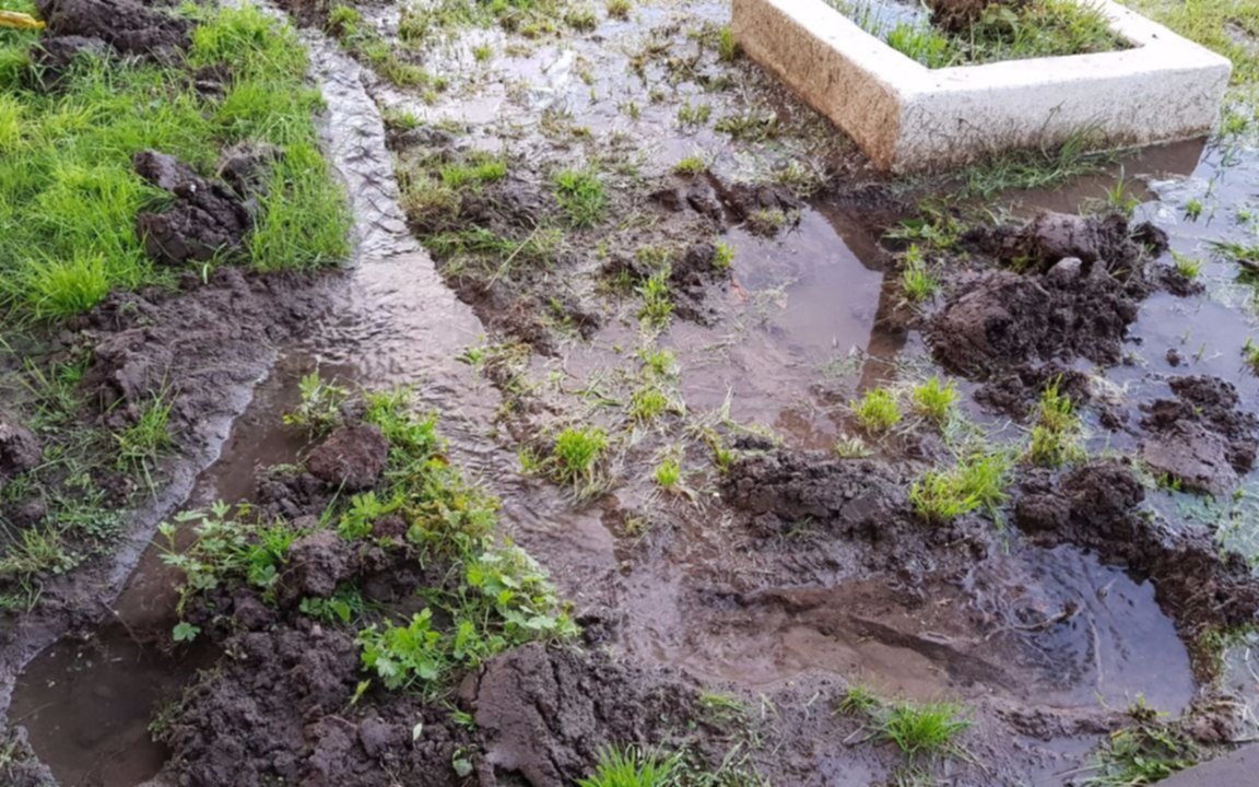 Preocupación por un caño roto en una zona de Villa Elvira