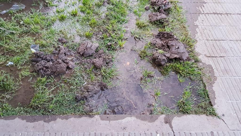 Caudalosa pérdida de agua en 74 entre 1 y 115