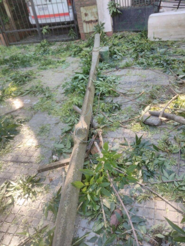 Secuelas de la última tormenta