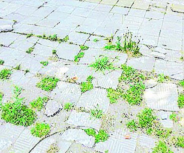 Otra vereda con progresivo deterioro en 6 y 64