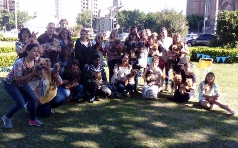 Rincón animal