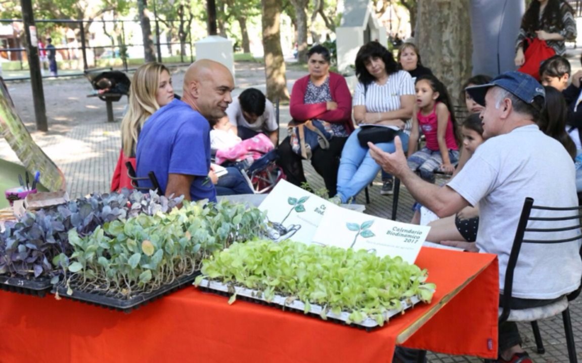Séptimo taller abierto de huerta en la plaza De la Cruz
