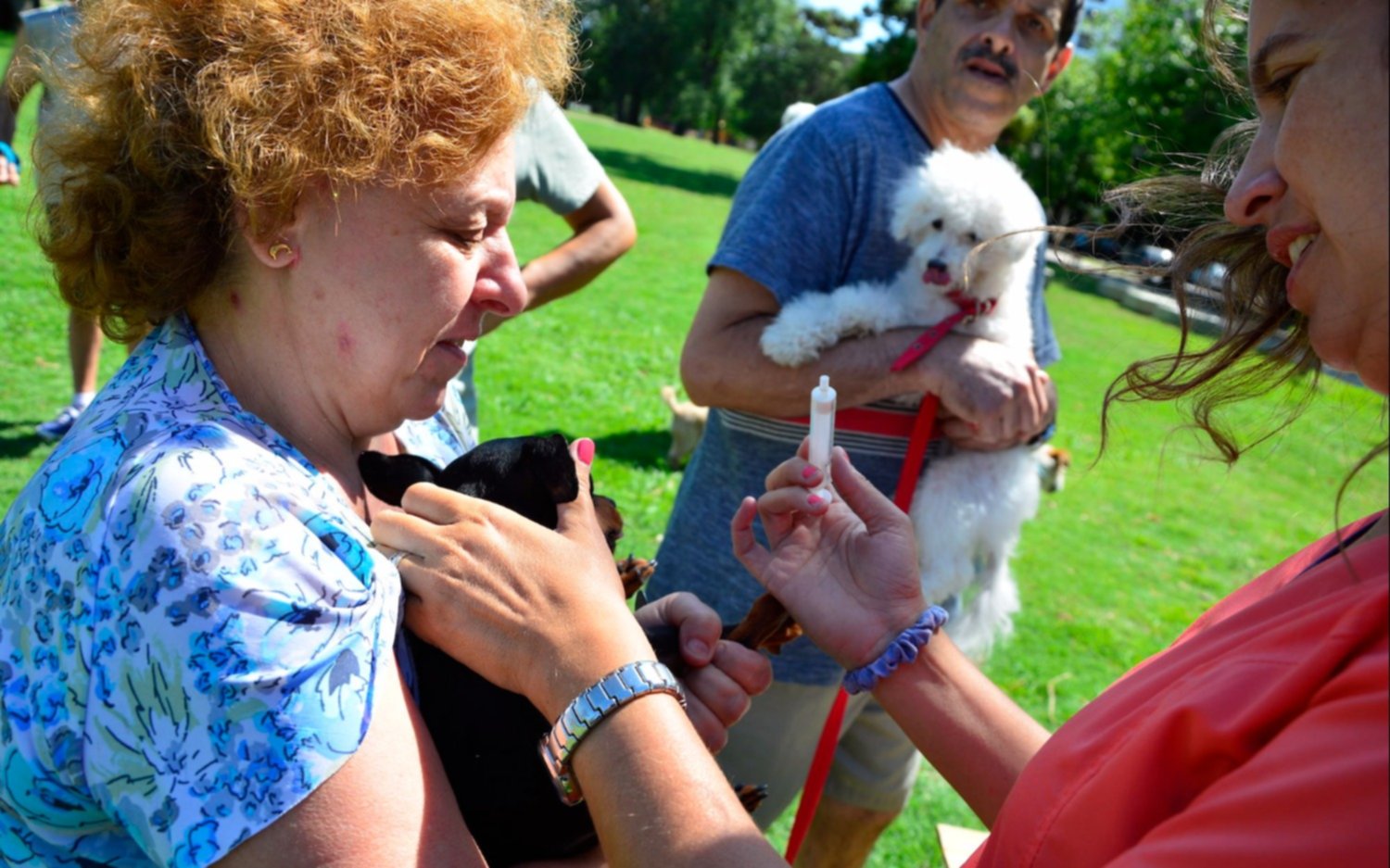 Se llevará a cabo la "I Jornada sobre Salud Pública Veterinaria" 