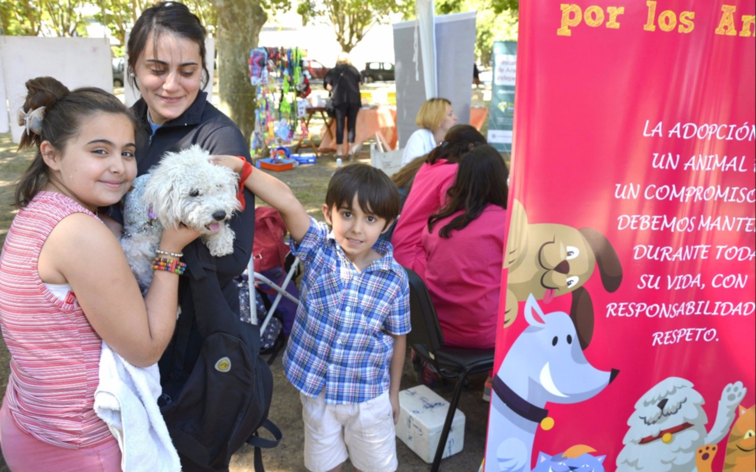 El Municipio vacunó de forma gratuita a más de 900 mascotas en la última semana