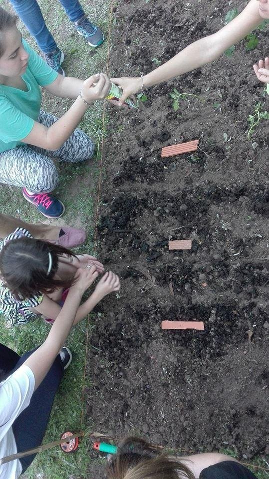 Taller de huerta orgánica