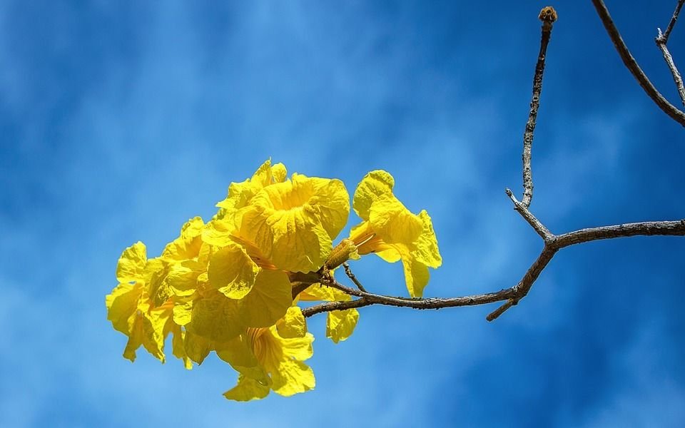 La primavera sigue tímida