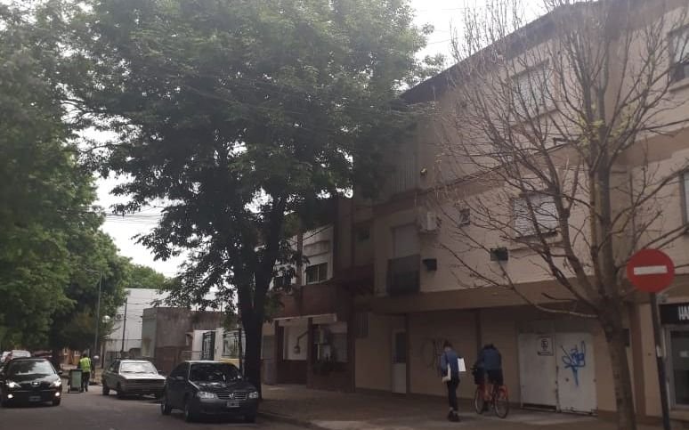 Reclaman por la poda de un árbol desde hace 10 años