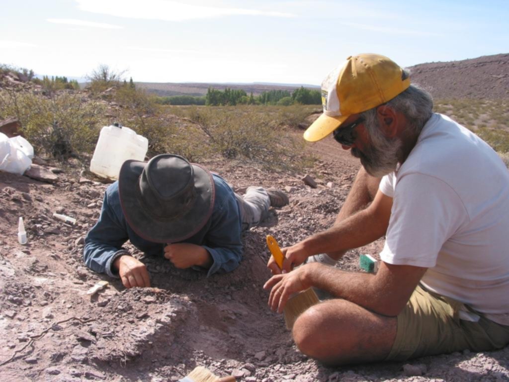Hallan restos de una especie de dinosaurio que vivió hace 110 millones de años